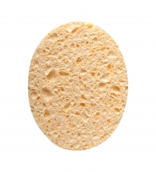 T1980  ESPONJA